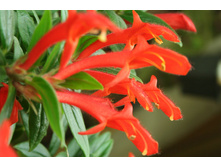 ��������....