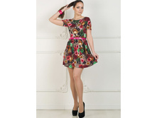 ��-1124_660 ���..jpg