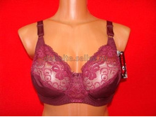 ����������� ����