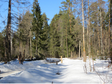 IMG_3930.JPG