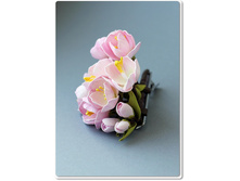 ��������� ���� - �������