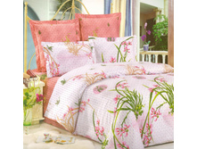 59 370 �70 ��� ���� ����� +����� ������.jpg