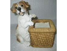 ����� �����  300 ���.