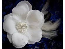 ���.: ������ ������