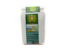 ������ ��������.jpg