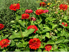 P1150827.JPG