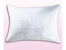 ������� Shell.jpg