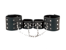 ����� �����������: ������� � ��������� � ������