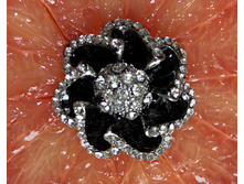 ���.: �����No7