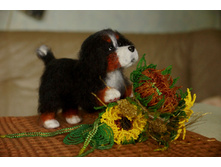 5 ������.jpg