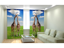 ������ �� ����.jpg