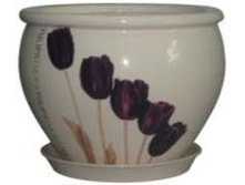 ������ ������� ��� TULIPS 011-4-025.jpg