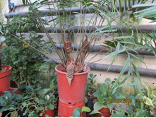 ���� 179.jpg