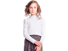 ��������� ��� ������� ������� ����� ZG-05112 ����� 350�.jpg