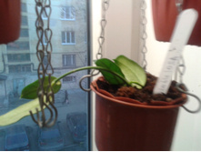 2015-03-26 18.21.27.jpg