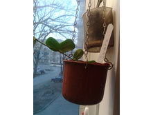2015-03-26 18.20.28.jpg