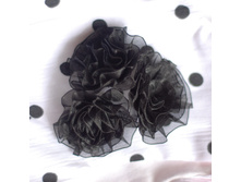 black_spotted1.jpg