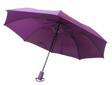 1248---2 ��������, �������.(200 ���).JPG