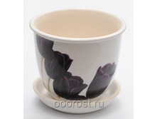 ������ ������� 0,5� ��� TULIPS 020-0-027.jpg