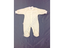 ���������� (�����)