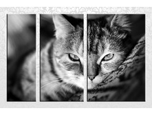 F040 90�60, 20�60,30�60, 40�60.jpg