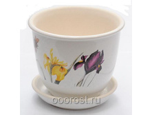 ������ ������� 0,5� ��� IRIS 020-0-038.jpg