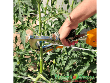 ����� ������� ��� �������� �������� ��. ����.png