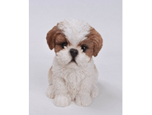 ������� �����  BJ132261V