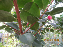 ���� 111.jpg