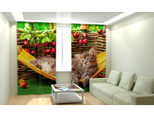 ������� � ������.jpg