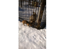 �������� 043.jpg