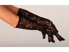 �������� ������� ����� ������