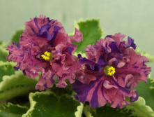 ��-������ (2013 �).jpg