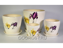 ������ ������   ����� iris  056-4-027.jpg