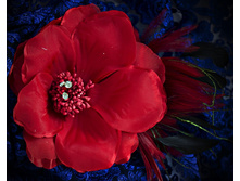 ���.: ������ ������