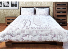 ������ Aster