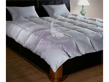 ������ Argelia