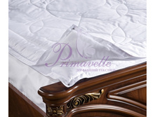 ������ � �������� Novella