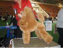 ������ 021.jpg