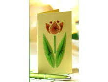 ������� 200 ���.