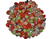 ����������_����� 299.png