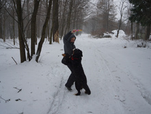 DSC02638.JPG