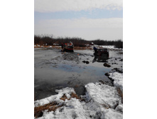 IMG_20150321_114516.jpg