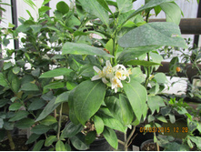 � ����� �� ������ �� �����!