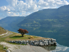 �������� 2014_151.jpg