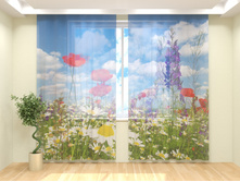 ���������� ����.jpg