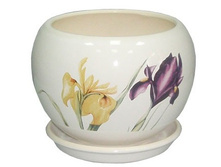 ������ ��� ��� IRIS 037-3-036.jpg