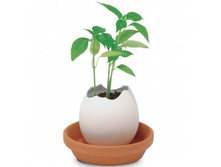 ����� ��� ����������� Egg*ling ��������� �����_165�_(660�)