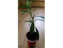 20150322_164925.jpg