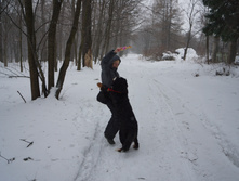 DSC02637.JPG
